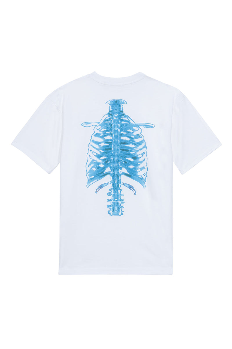 Skeleton